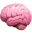 brain
